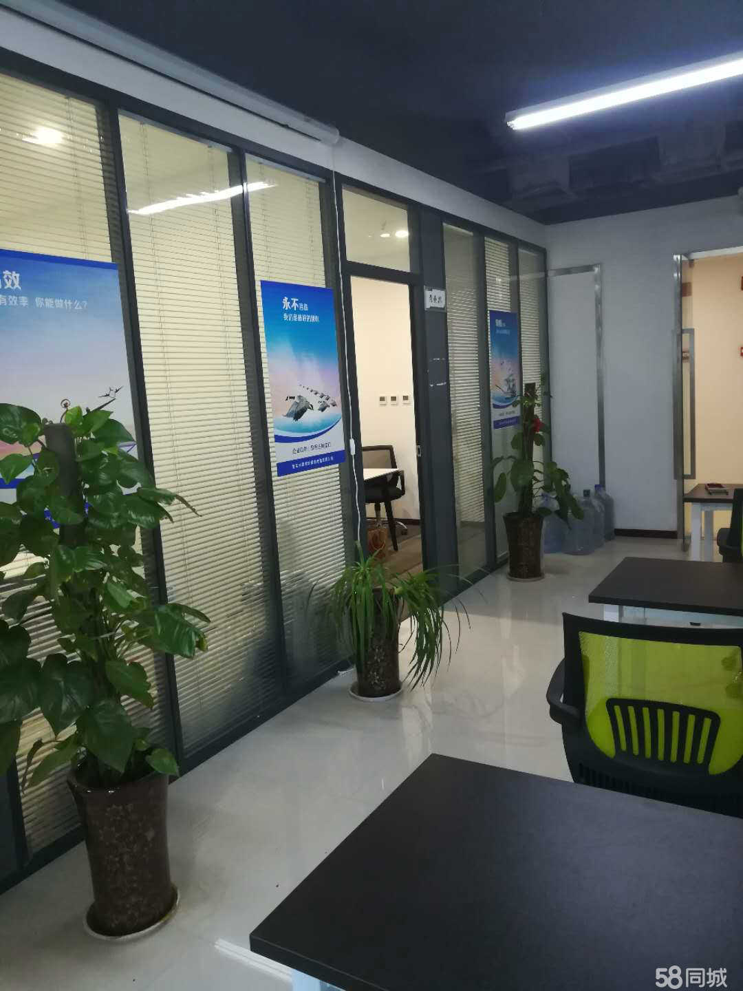 郑州光星网络科技招聘信息_公司前景_规模_待遇怎么样